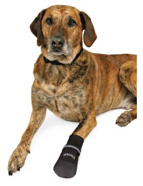 Ochranné nylonové boty WALKER