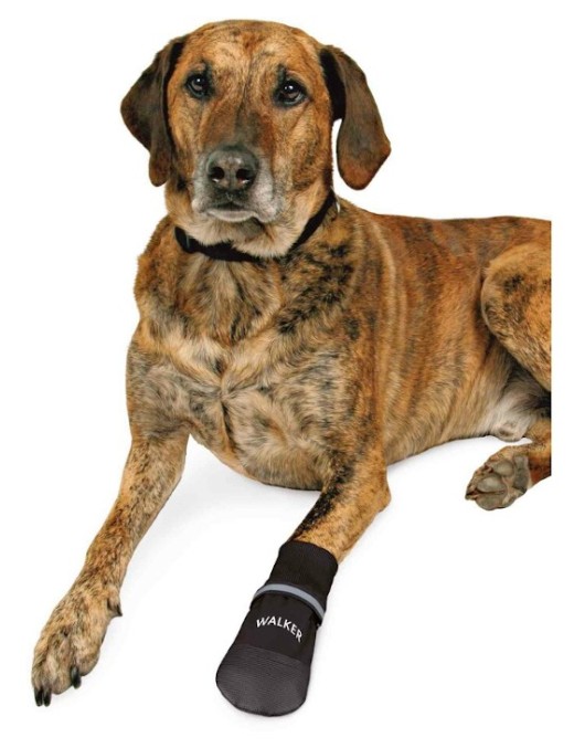 Ochranné nylonové boty WALKER